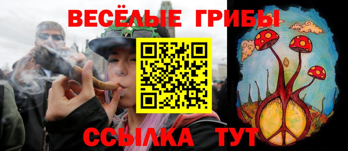 Галлюциногенные грибы Psilocybine cubensis  Псилоцибиновые грибы Magic Shrooms  Донской  Вход с VPN 